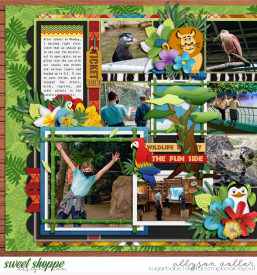 allyanne_Palooza144_01_WM.jpg