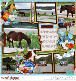 allyanne_Palooza160_01_ADWildHorses_01_WM.jpg
