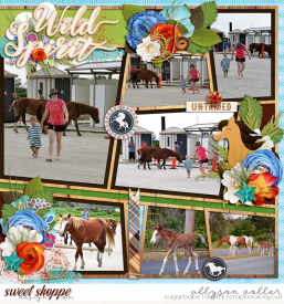 allyanne_Palooza160_02_WildHorses_02_WM.jpg