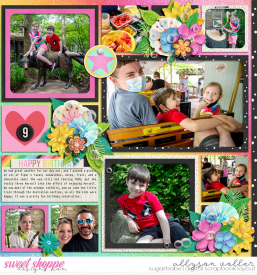 allyanne_Palooza165_02_WM.jpg
