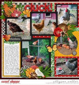 allyanne_Palooza173_01_WM.jpg