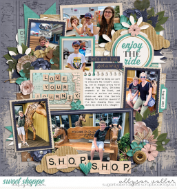 allyanne_Palooza176_LifeIsAJourney_01_WM.jpg