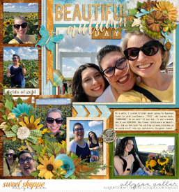 allyanne_Palooza184_01_WM.jpg