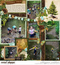 allyanne_Palooza186_ANTTouchtheEarth_01_WM.jpg