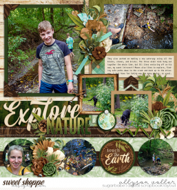 allyanne_Palooza186_ANTTouchtheEarth_02_WM.jpg