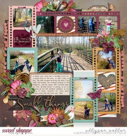 allyanne_Palooza194_01_WM.jpg