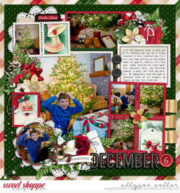 allyanne_Palooza202_01_ACTFIlledWIthWonder_01_WM.jpg