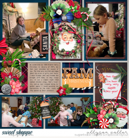 allyanne_Palooza204_01_NorthPole_01_WM.jpg