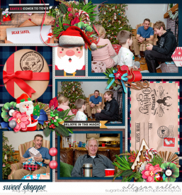 allyanne_Palooza204_01_NorthPole_02_WM.jpg