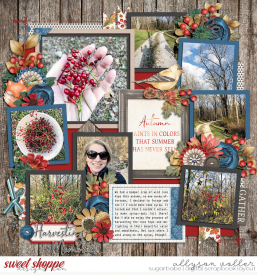 allyanne_Palooza209_01_WM.jpg