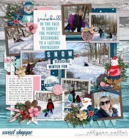 allyanne_Palooza210_01_SnowMuchFun_01_WM.jpg