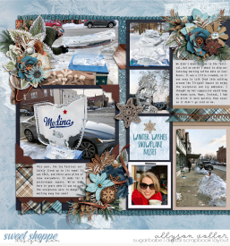 allyanne_Palooza213_01_It_sSnowTime_01_WM.jpg