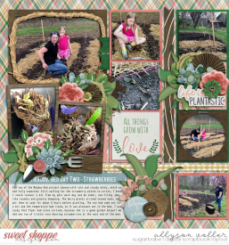 allyanne_Palooza242_01_RootinforYa_01_WM.jpg