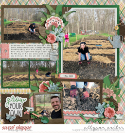 allyanne_Palooza242_02_RootinforYa_02_WM.jpg