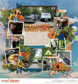 allyanne_Palooza277_01_ACampingTale_01_WM.jpg