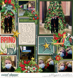 allyanne_Palooza291_01_RTMMerry_Bright_01_WM.jpg