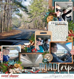 allyanne_Palooza308_WandererKeepExploring_01_WM.jpg