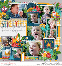 allyanne_Palooza30_HappyCamper_01_WM.jpg