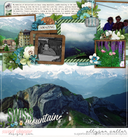 allyanne_Palooza332_01_AMountainTale_01_WM.jpg