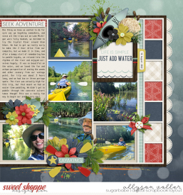 allyanne_Palooza344right_01_WM.jpg