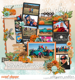 allyanne_Palooza353_01_HeyTherePumpkin_01_WM.jpg