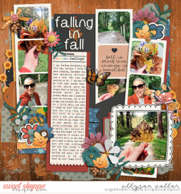 allyanne_Palooza354_01_FindMeinFall_01_WM.jpg