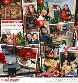 allyanne_Palooza490_HFCReindeerDrive_02_WM.jpg