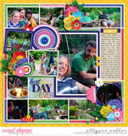 allyanne_Palooza501_01_WM.jpg