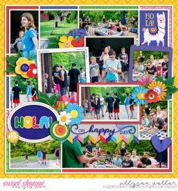 allyanne_Palooza502_01_WM.jpg