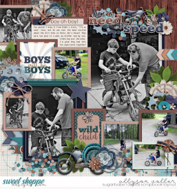 allyanne_Palooza50_It_sABoyThing_01_wm.jpg