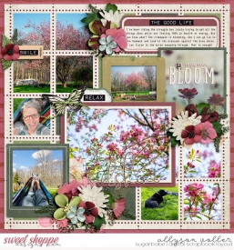 allyanne_Palooza532_FlowerChild_WM.jpg