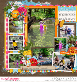 allyanne_Palooza75left_01_CruelSummer_01-WM.jpg