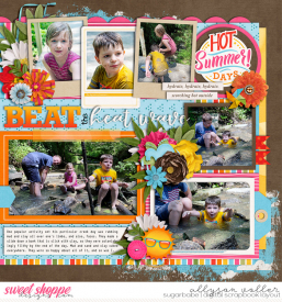allyanne_Palooza75left_01_CruelSummer_02-WM.jpg