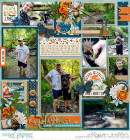 allyanne_Palooza93_HappyCamper_01_WM.jpg