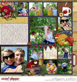 allyanne_Palooza95_02_WM.jpg