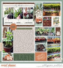 allyanne_PlantPerson_01_WM.jpg