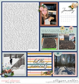 allyanne_PocketStories_03_AllTHatMatters_01_WM.jpg