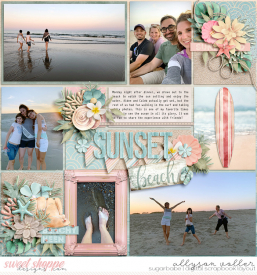 allyanne_PocketTemps8_SandyBeach_01_WM.jpg