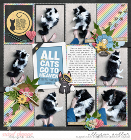 allyanne_RainbowBridge_01-WM.jpg