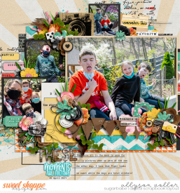 allyanne_RayofLight3_01_DocumentingLife_01_WM.jpg