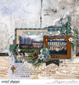 allyanne_RememberDecember_01_WM.jpg
