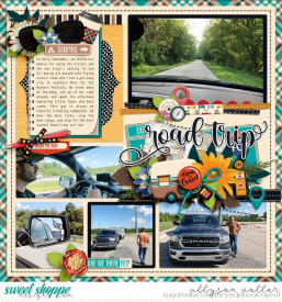 allyanne_RoadTripp_n_01_WM.jpg
