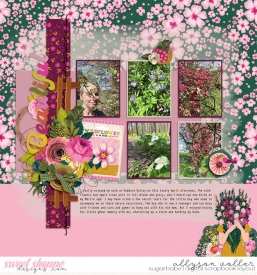 allyanne_ScrapLikeThis27_01_WildflowerLane_01_WM.jpg