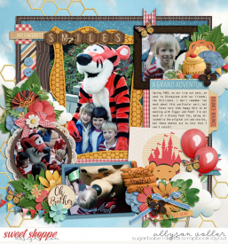 allyanne_Set259_RTMHoneyBear_01_WM.jpg