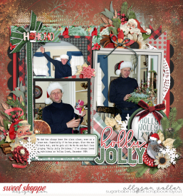allyanne_Set280_01_ABushChristmas_01_WM.jpg