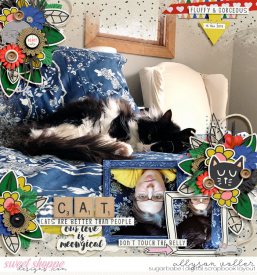 allyanne_ShowOff5_02_CrazyCatLady_01_WM.jpg