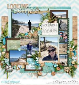 allyanne_Showcase10_01_WM.jpg