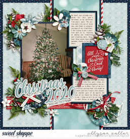 allyanne_Showcase9_ADifferentKindofChristmas_01_WM.jpg