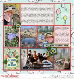 allyanne_SignsofSpring_rigiht_WM.jpg
