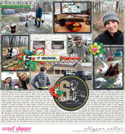 allyanne_SoHere_stheStory_01_WM.jpg
